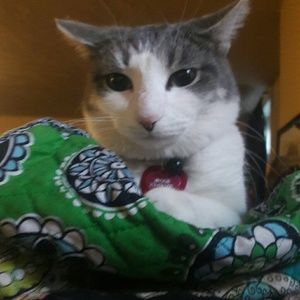 Meet your Posher, Amber