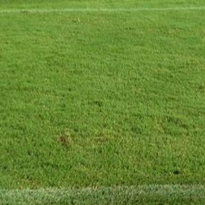 Meet your Posher, Noah