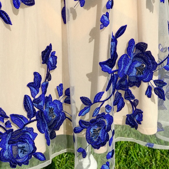 Nude & Mesh Blue Floral Dress - Picture 5 of 5