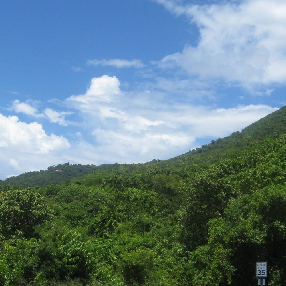 Meet your Posher, Penny