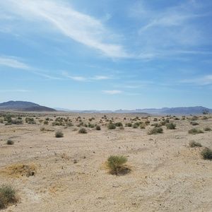 Meet your Posher, Lonnie