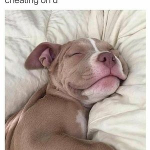 Meet your Posher, Marvin