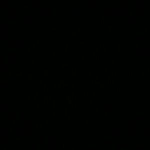 Meet your Posher, Faiza