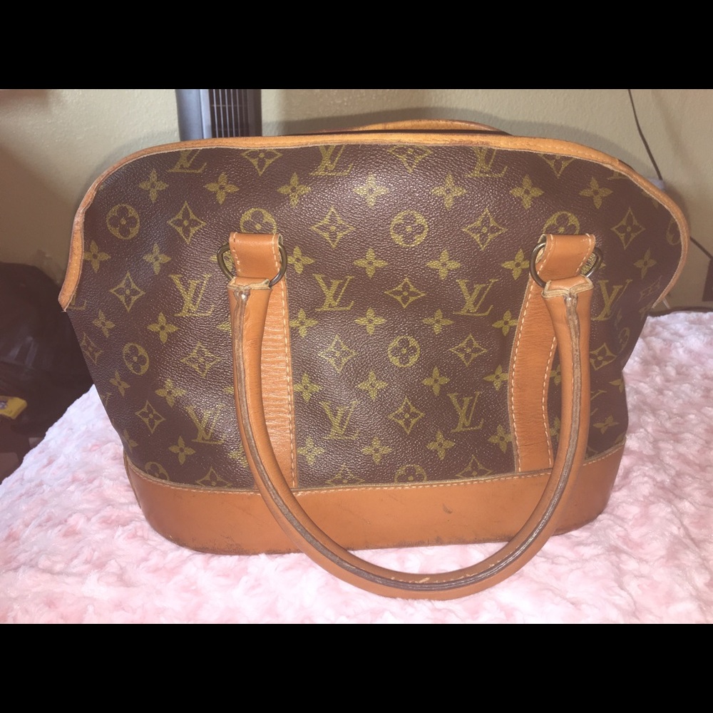 French Company Louis Vuitton Dog Carrier