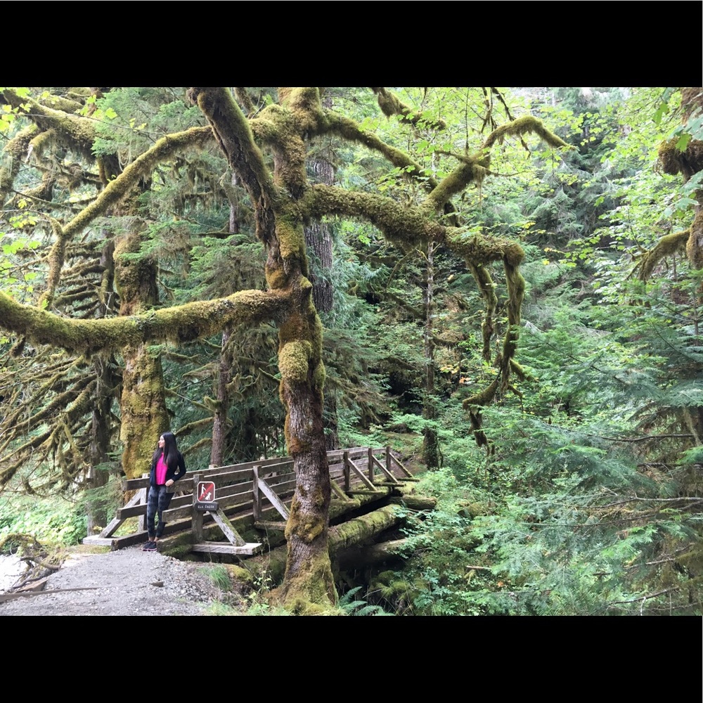 Meet your Posher, Lily