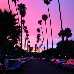 Meet your Posher, Cameron