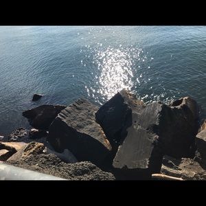 Meet your Posher, Paige