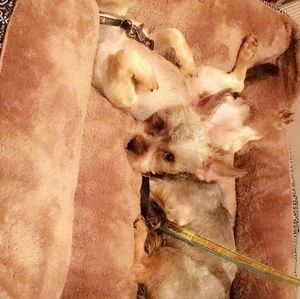 Meet your Posher, Camara