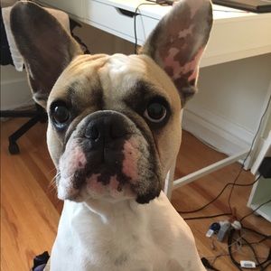 Meet your Posher, Ivette