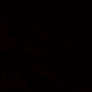 Meet your Posher, Collin