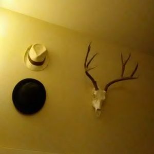 Meet your Posher, Bella