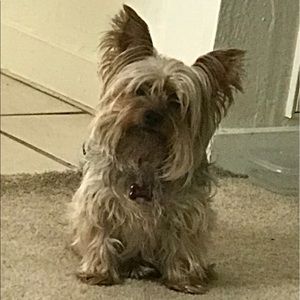 Meet your Posher, Hosea