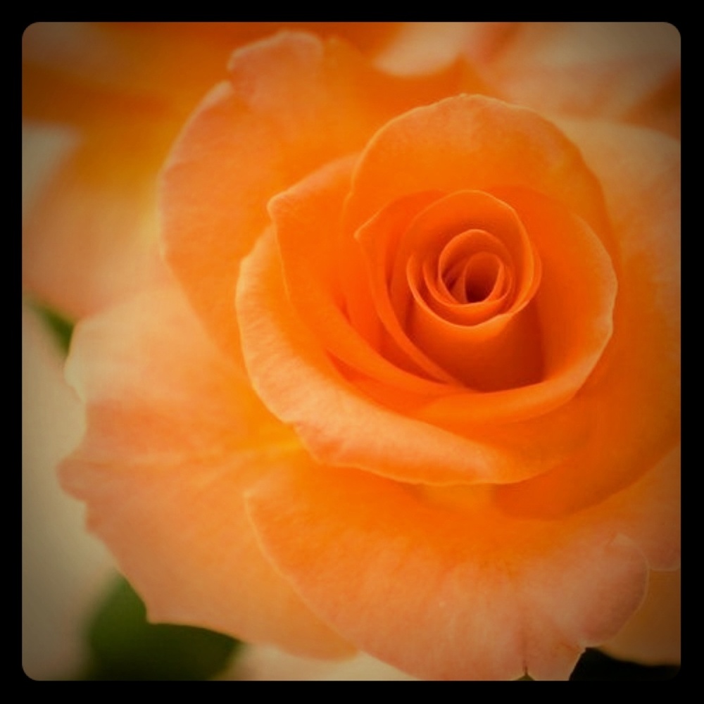 ~ Enjoy ~