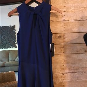 Cynthia Steffe Royal Blue Dress with Peep Knot