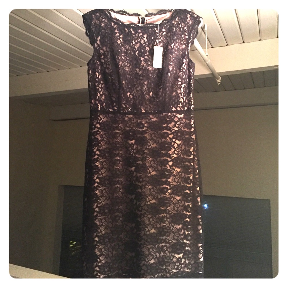 Lace dress from Loft. New with tags