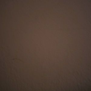 Meet your Posher, Lok see erica