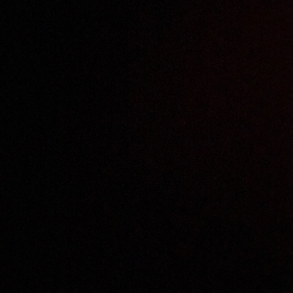 Meet your Posher, Lilly