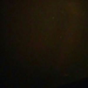 Meet your Posher, Rochelle