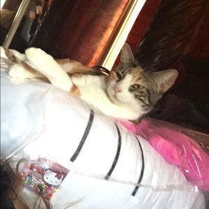 Meet your Posher, Flordeliza