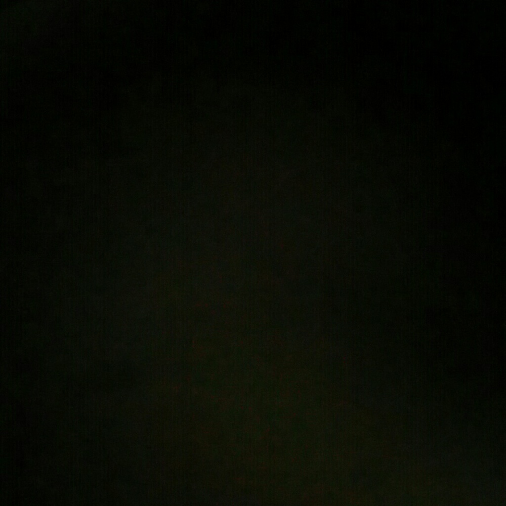 Meet your Posher, Shaina