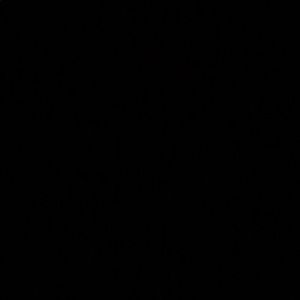 Meet your Posher, Starr