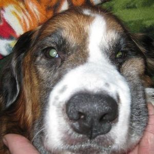 Meet your Posher, Jeffrey