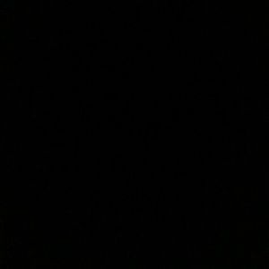 Meet your Posher, Chanel