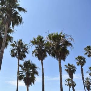 Meet your Posher, Paulina