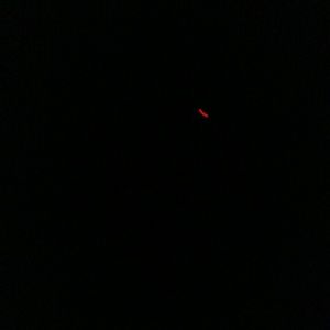 Meet your Posher, Jayla