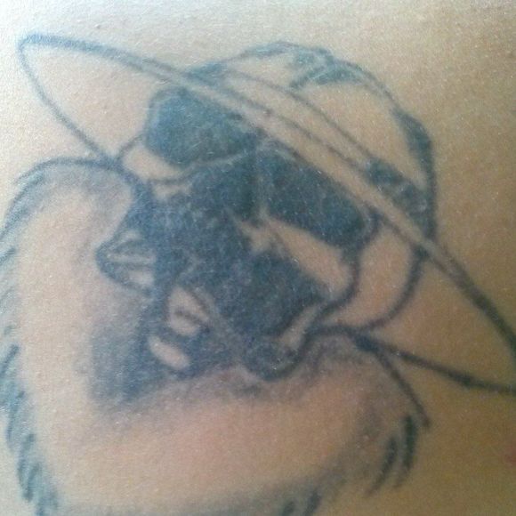 Meet your Posher, Tony - Picture 1 of 1