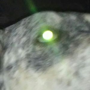 Meet your Posher, Kay