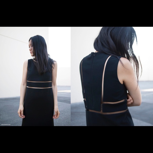 Alexander Wang Dresses & Skirts - Alexander Wang Fishline Black Sheath Dress