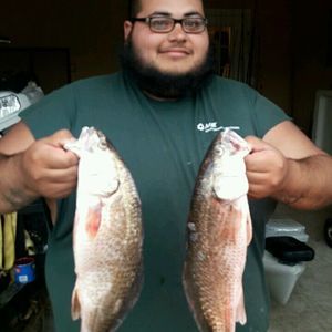 Meet your Posher, Jerod