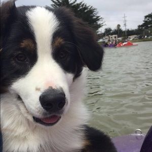 Meet your Posher, Zully