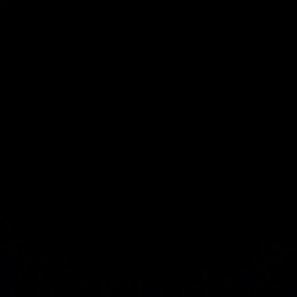 Meet your Posher, Caleb - Picture 1 of 1