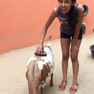 Meet your Posher, Elsa