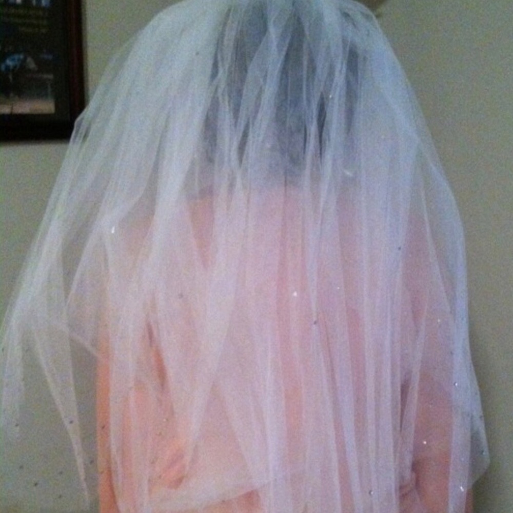 Wedding Vail - image 1