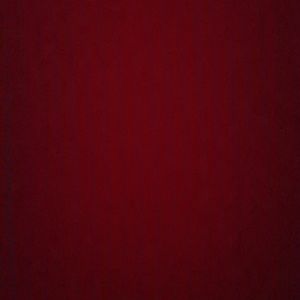 Meet your Posher, Angelita