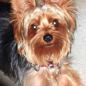 Meet your Posher, Maria