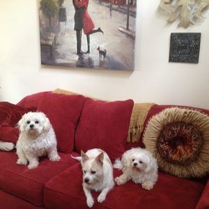 Meet your Posher, Vicki