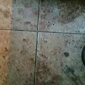 Meet your Posher, Eugene