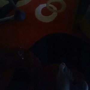 Meet your Posher, Annie