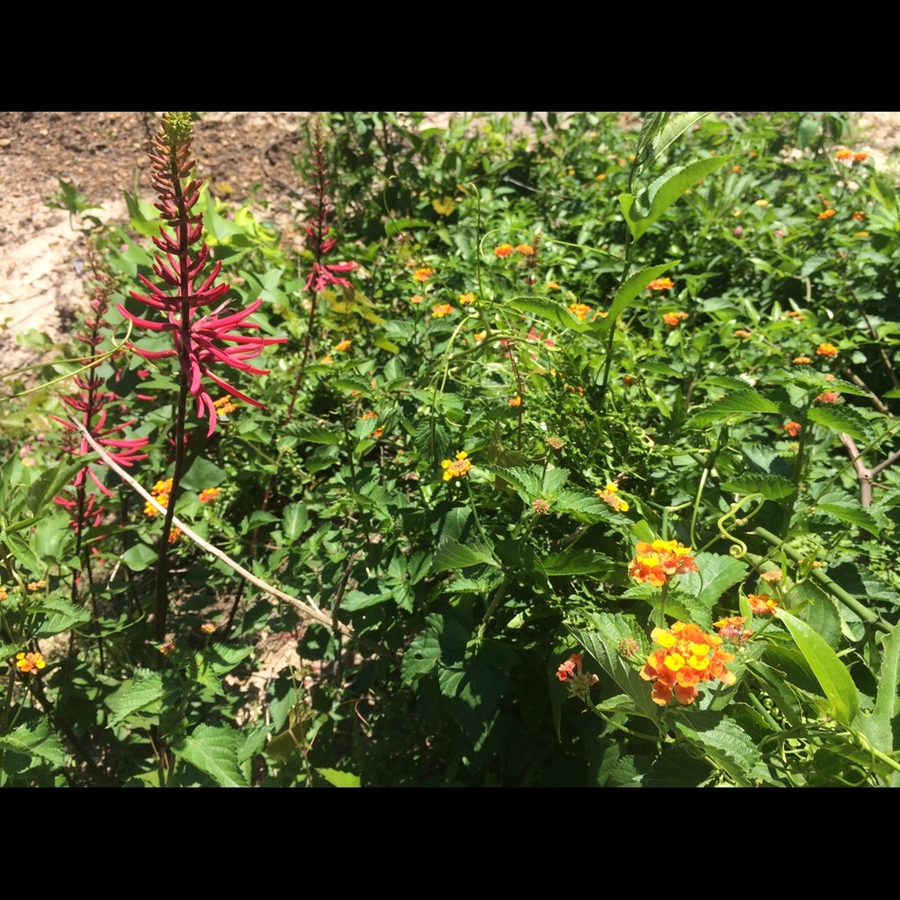 Meet your Posher, Ana