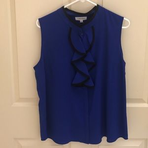 Sleeveless Vibrant Blue Blouse
