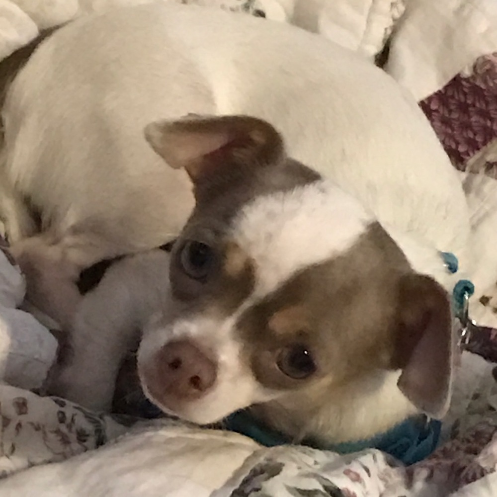 Meet your Posher, Kennedy