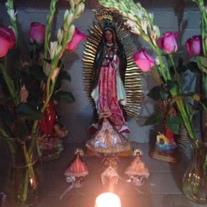 Meet your Posher, Marga