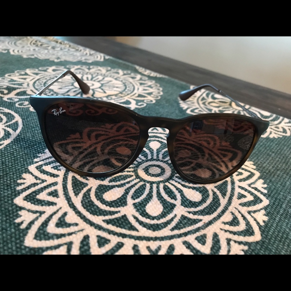 Ray-Ban Erika Sunglasses