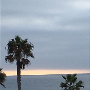 Meet your Posher, Tori