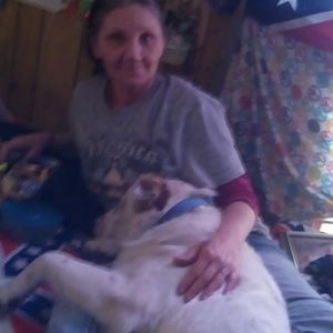 Meet your Posher, Darlene