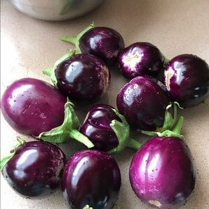 Meet your Posher, Mamta